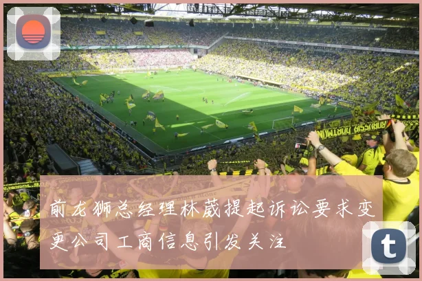 前龙狮总经理林葳提起诉讼要求变更公司工商信息引发关注