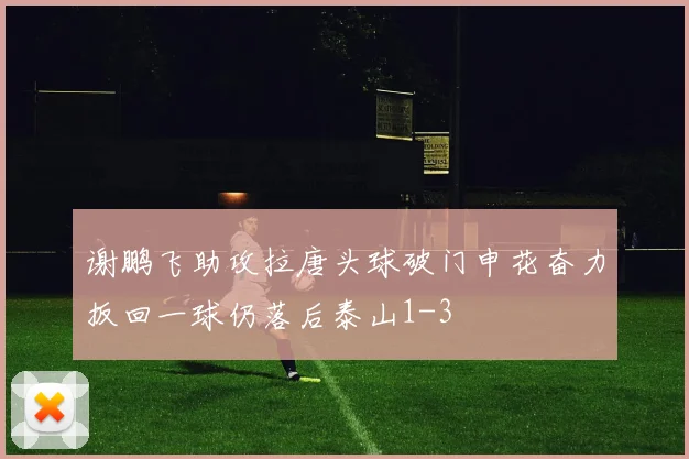 谢鹏飞助攻拉唐头球破门申花奋力扳回一球仍落后泰山1-3